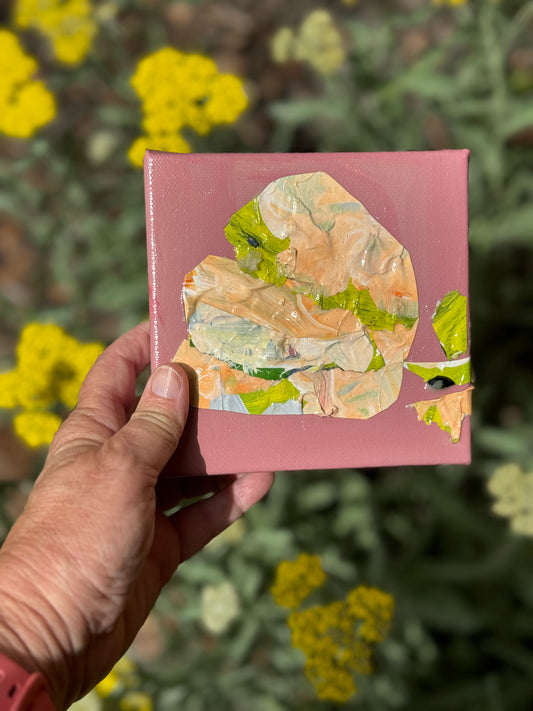 Tulips 3 || 5x5 Floral