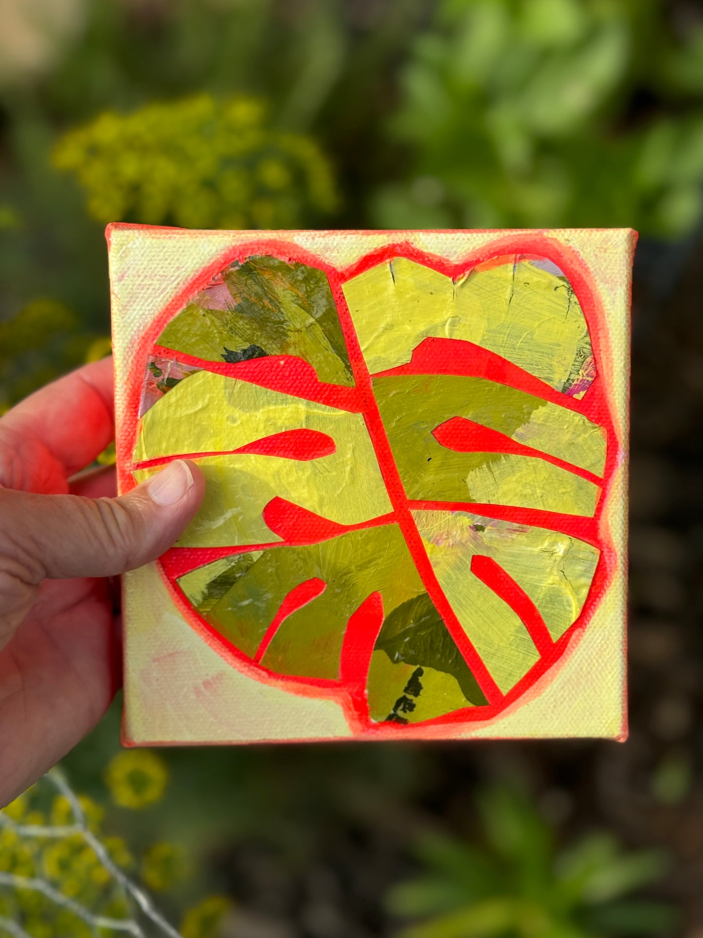 Monstera Mini || 5x5 Floral