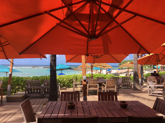 North Shore in September || 24 x 36