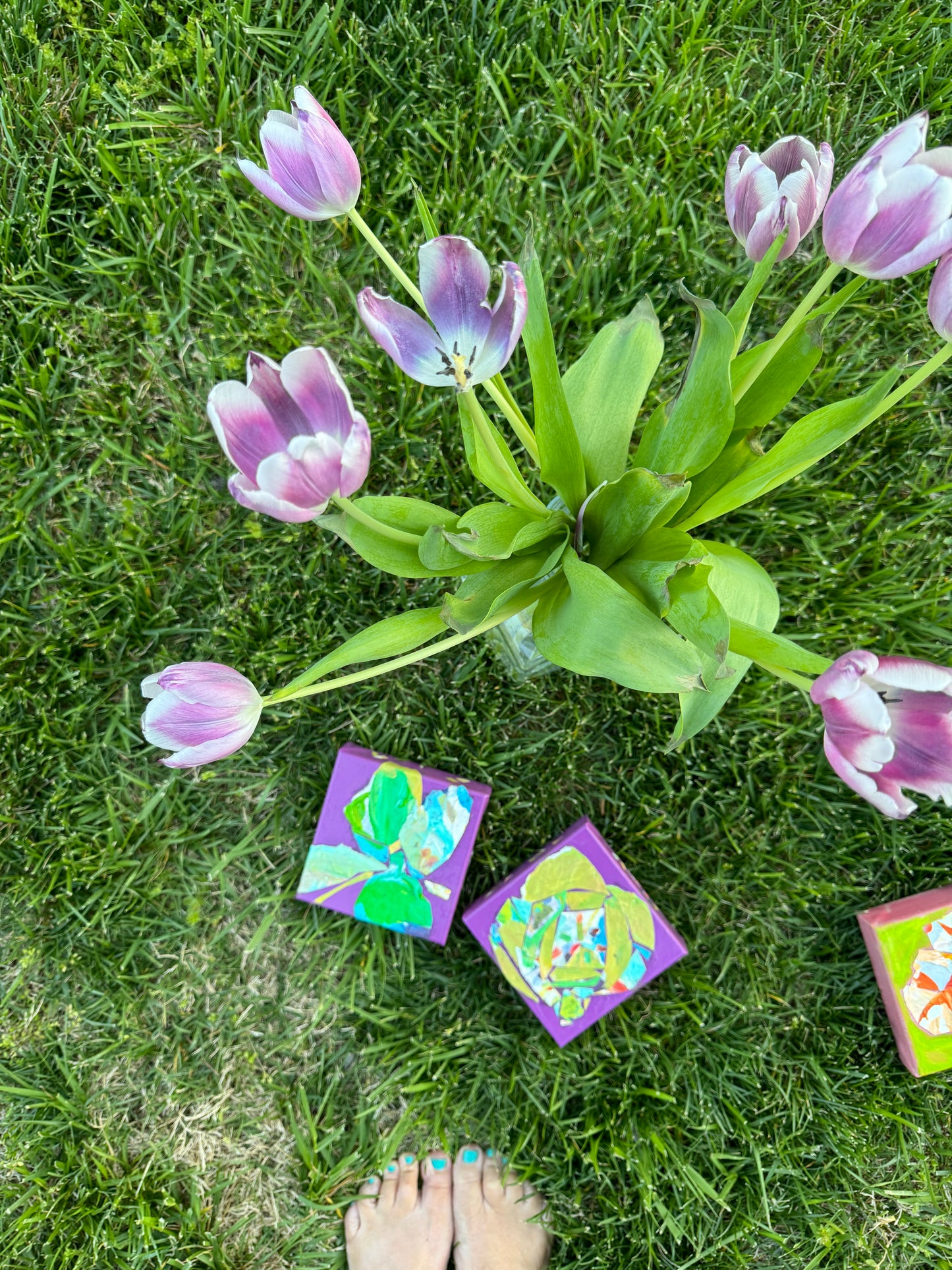 Tulips 2 || 5x5 Floral