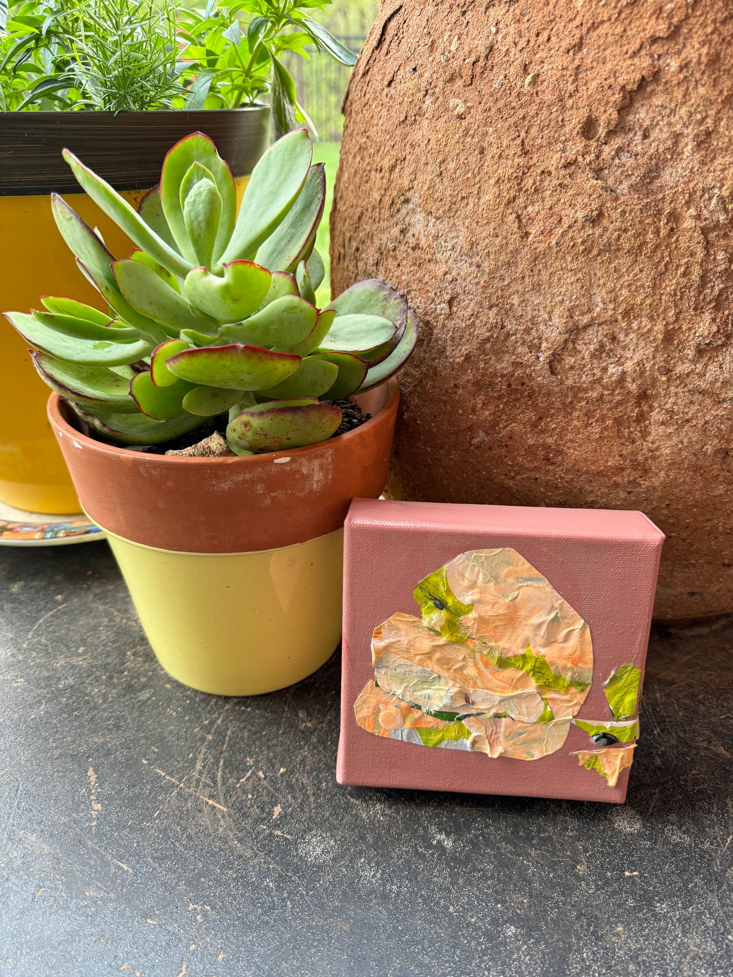 Tulips 3 || 5x5 Floral