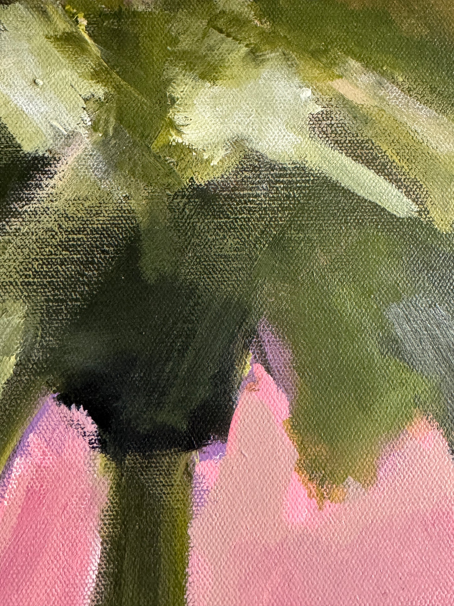 Ponytail Palm || 16 x 16