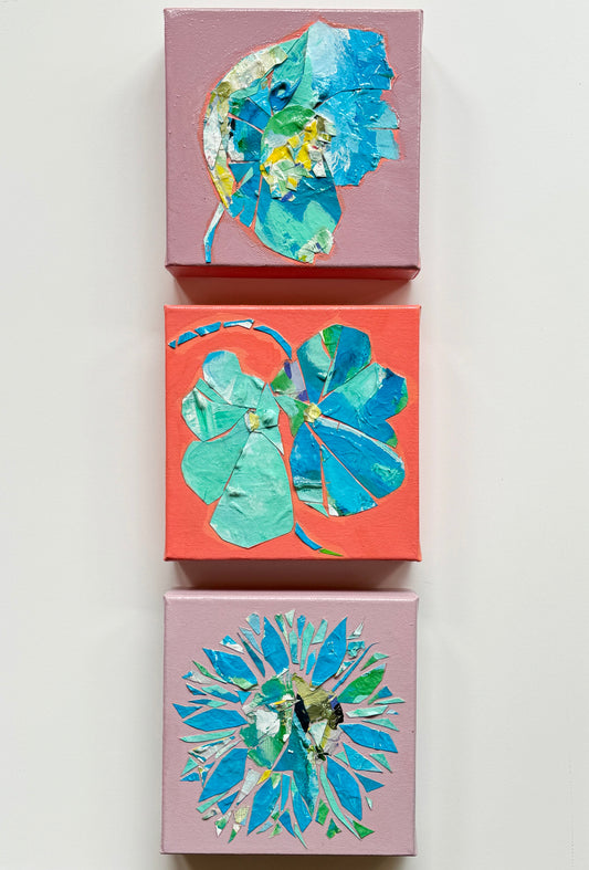 Blue Poppy || 6x6 Floral