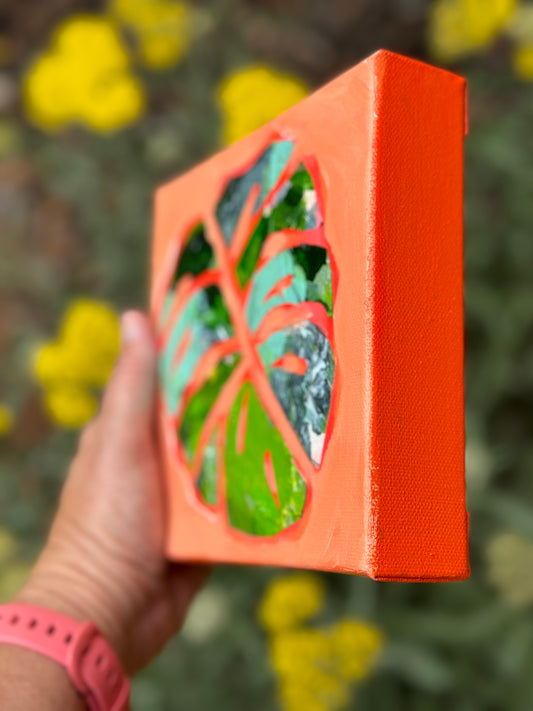 Monstera Leaf || 6x6 Floral