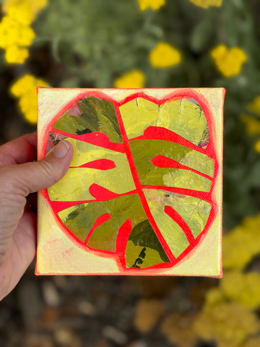 Monstera Mini || 5x5 Floral