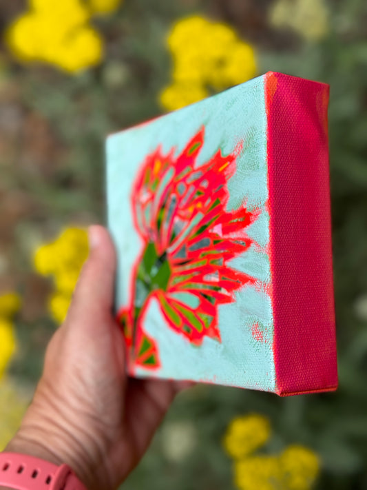 Crimson Clover || 5x5 Floral