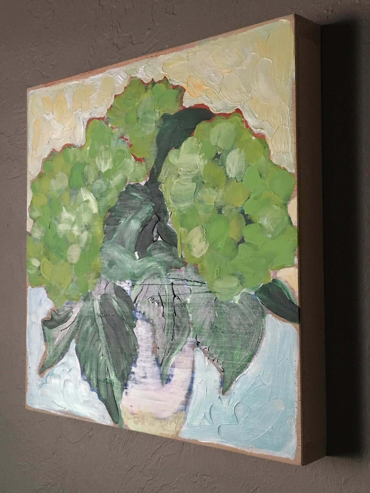 Limelight Hydrangeas in Clay Pot || 16 x 16 Floral