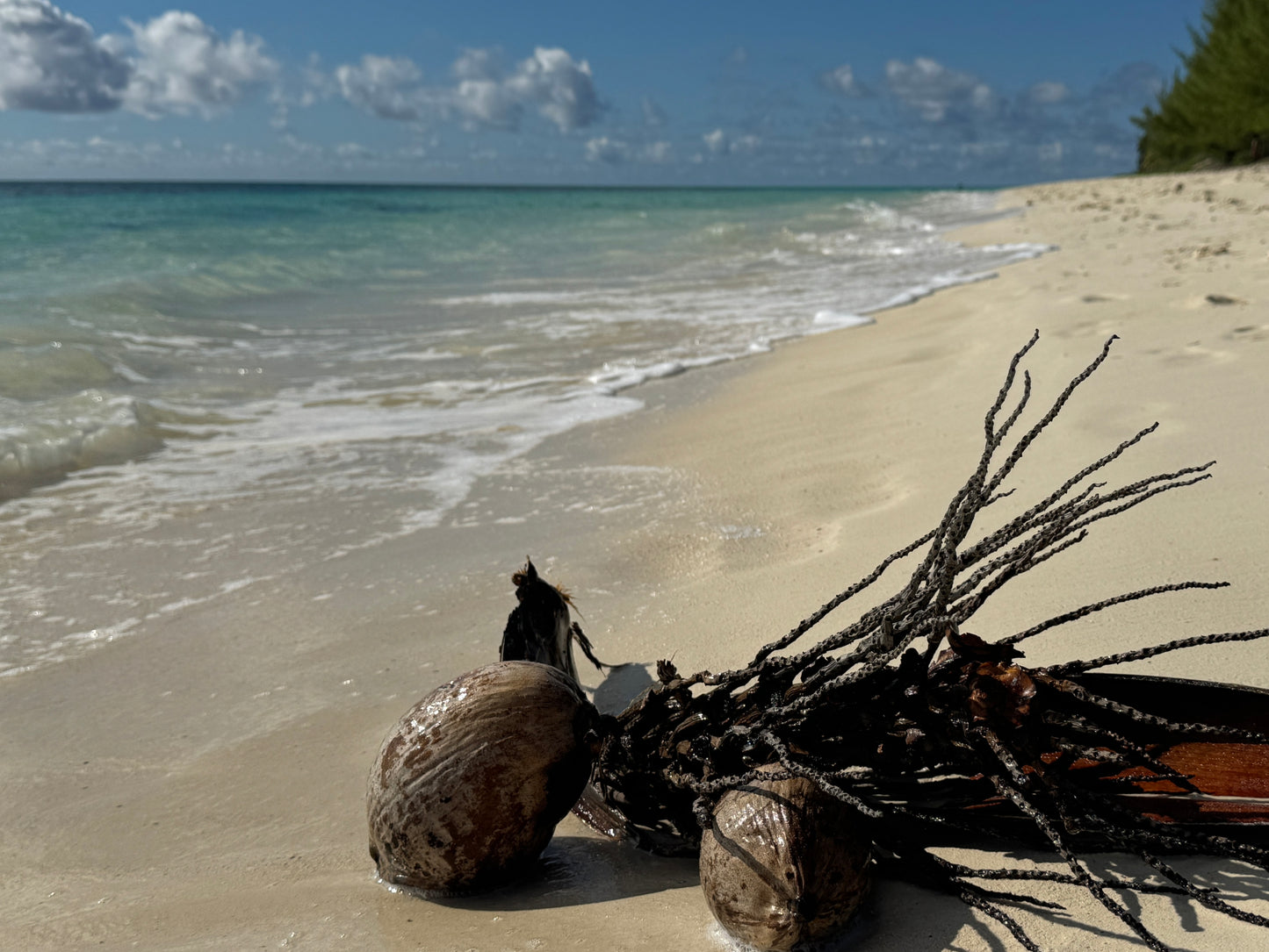 Beach Access