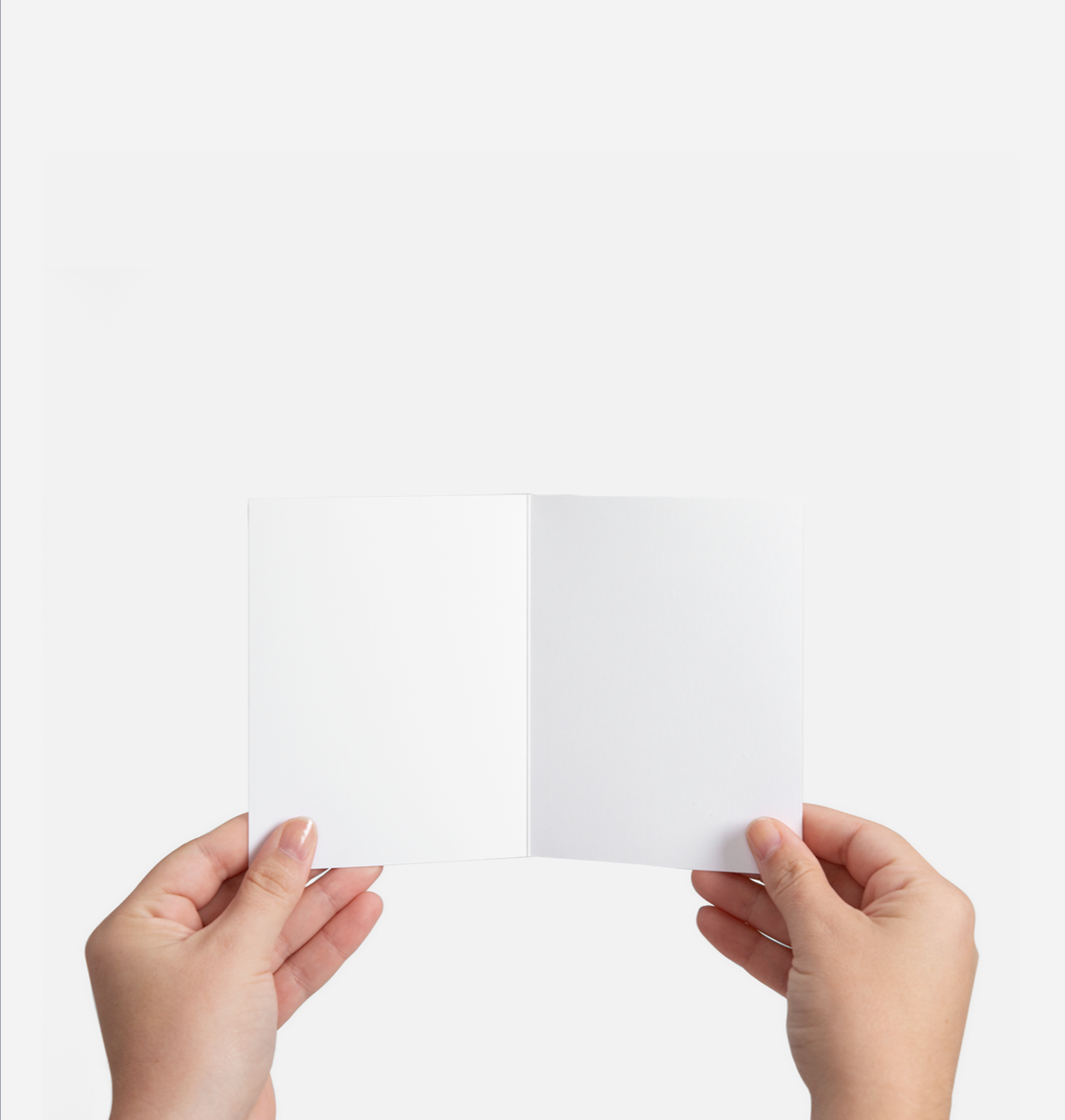 Christmas Florals Greeting Card set