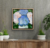 Hydrangeas 16 x 16 Floral